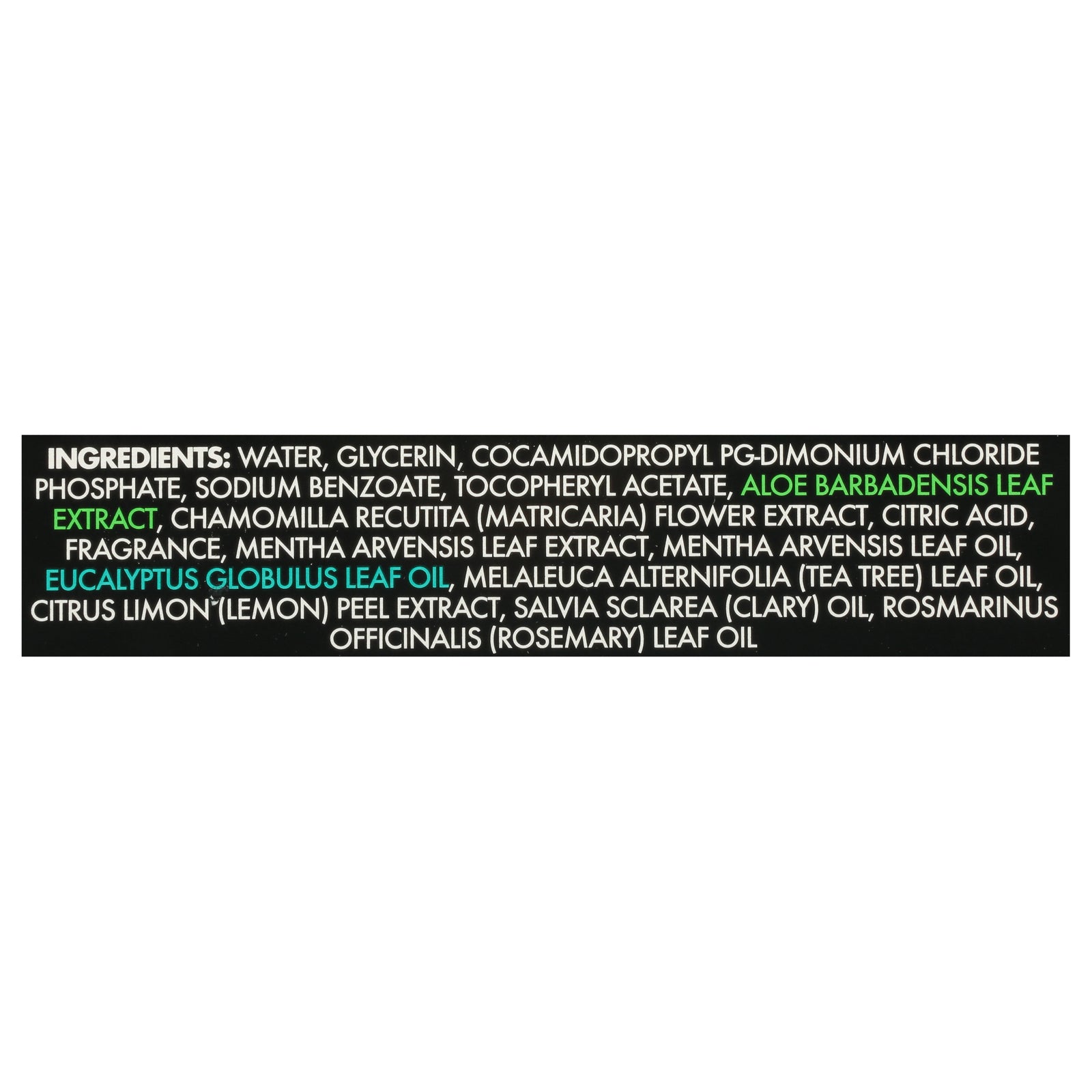 Dude Wipes - Wipes Body Mint Chill - 1 Each - 30 Ct - Maras Green