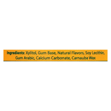 Epic Dental - Xylitol Gum - Fresh Fruit - 50 Pieces - Maras Green