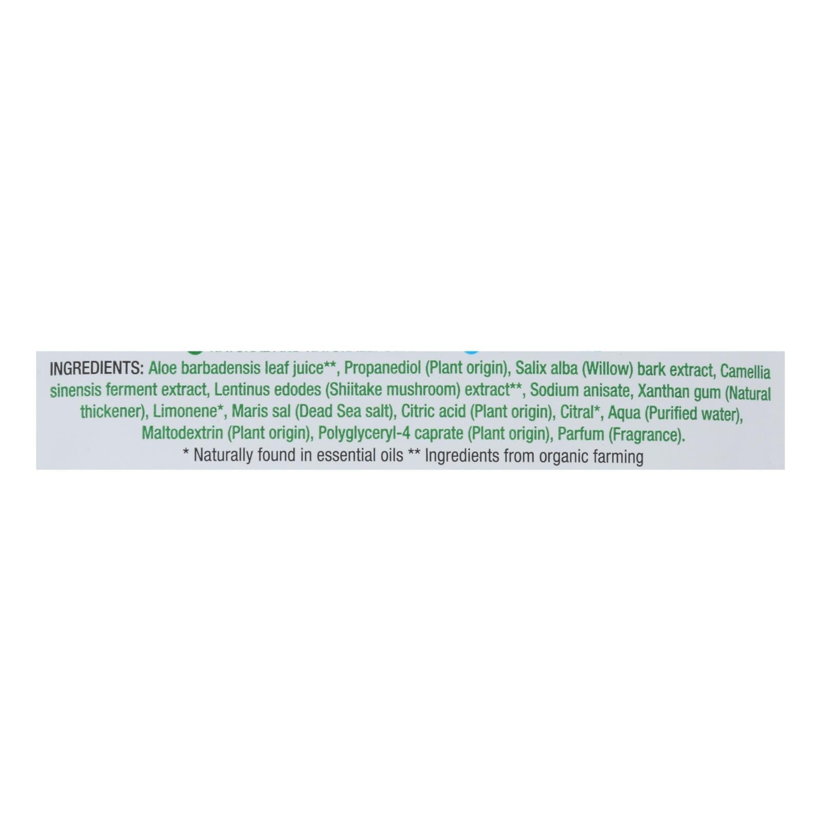 Earth Kiss - Sheet Msk Shtk Prfyng - Case Of 12 - 1 Count - Maras Green