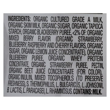 Happy Baby Happy Yogis Organic Superfoods Yogurt And Fruit Snacks Mixed Berry - 1 Oz - Case Of 8 - Maras Green