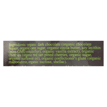 Next Organics Dark Chocolate Coconut - Organic - Case Of 6 - 4 Oz. - Maras Green