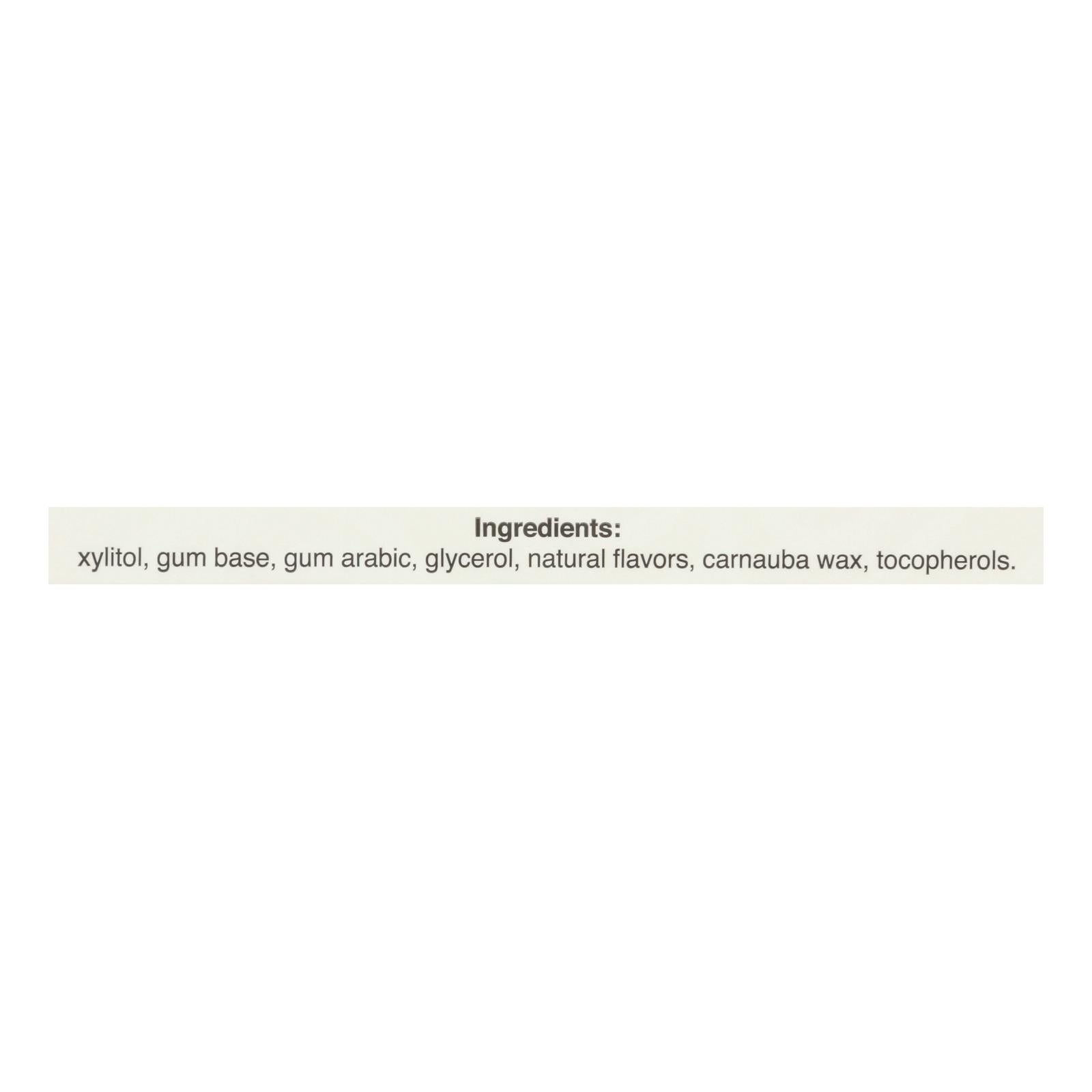 Pur Gum - Cinnamon - Aspartame Free - 9 Pieces - 12.6 G - Case Of 12 - Maras Green