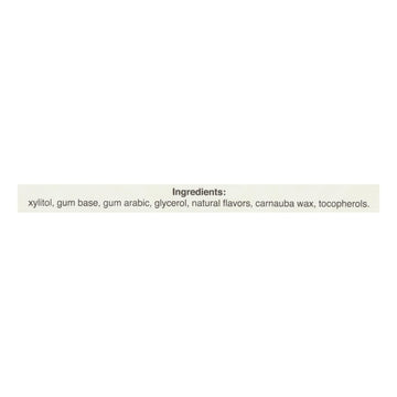 Pur Gum - Cinnamon - Aspartame Free - 9 Pieces - 12.6 G - Case Of 12 - Maras Green