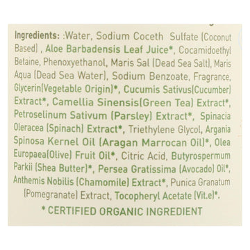 Ecolove Body Wash Green Vegetables Family Shower Gel For Ages 6 Months And Up - Case Of 500 - 17.6 Fl Oz. - Maras Green