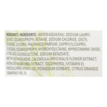 J.r. Watkins - Hand Soap Refill Aloe Green Tea - Case Of 3 - 34 Fz - Maras Green